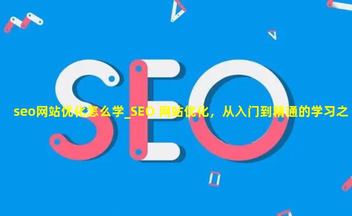 seo网站优化怎么学_SEO 网站优化，从入门到精通的学习之路